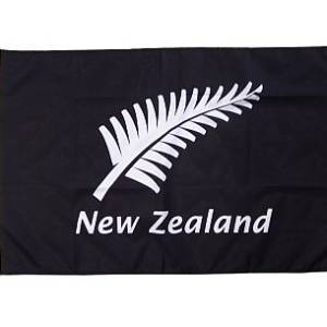 Flag Silver Fern and New Zealand 90x60cm