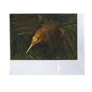 Gift Card Kiwi Bird